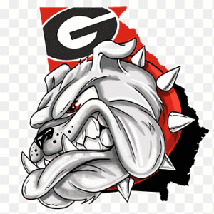 Georgia Bulldogs Football Baseball Jersey